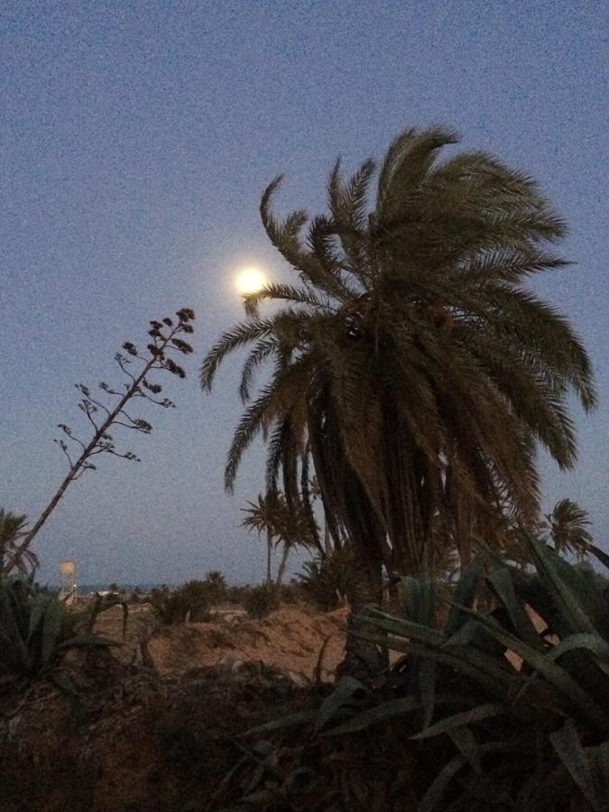TemlaleDar Jasmin Djerba住宿加早餐旅馆 外观 照片