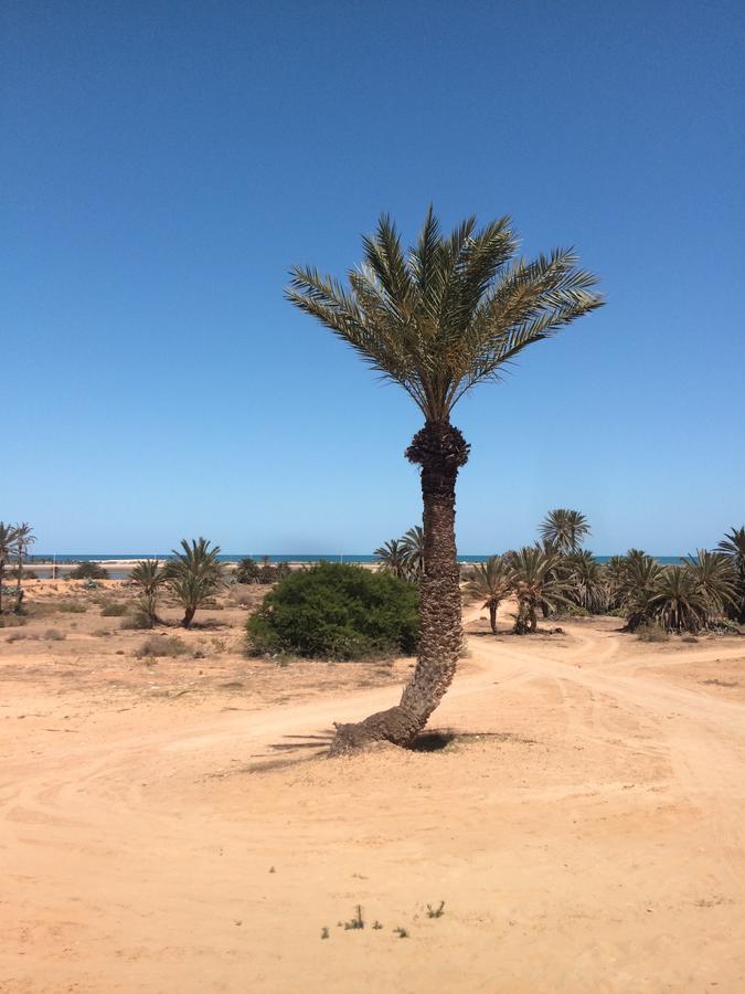 TemlaleDar Jasmin Djerba住宿加早餐旅馆 外观 照片