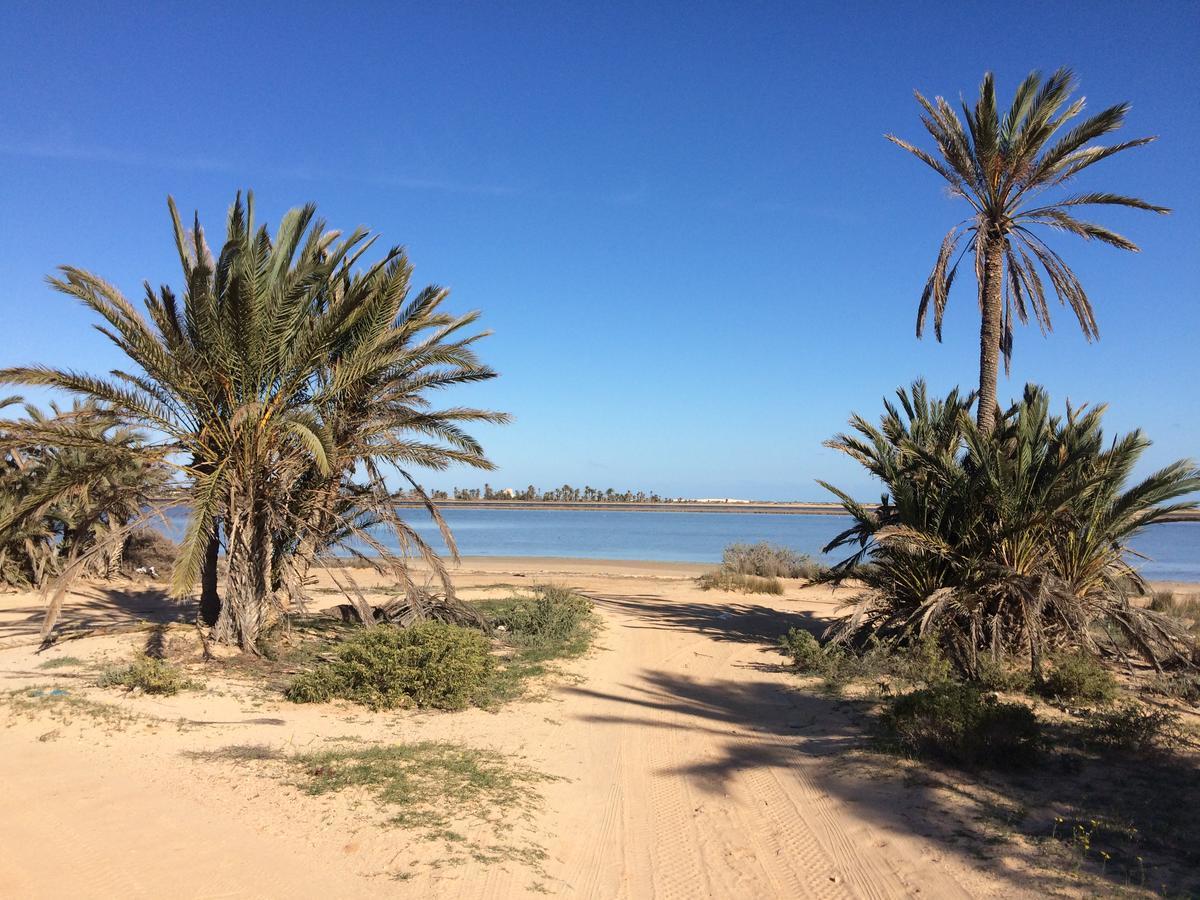 TemlaleDar Jasmin Djerba住宿加早餐旅馆 外观 照片