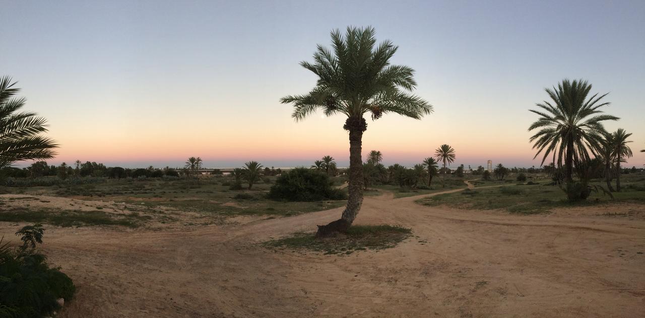 TemlaleDar Jasmin Djerba住宿加早餐旅馆 外观 照片