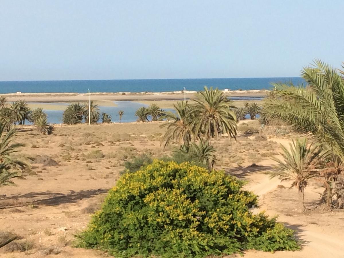 TemlaleDar Jasmin Djerba住宿加早餐旅馆 外观 照片