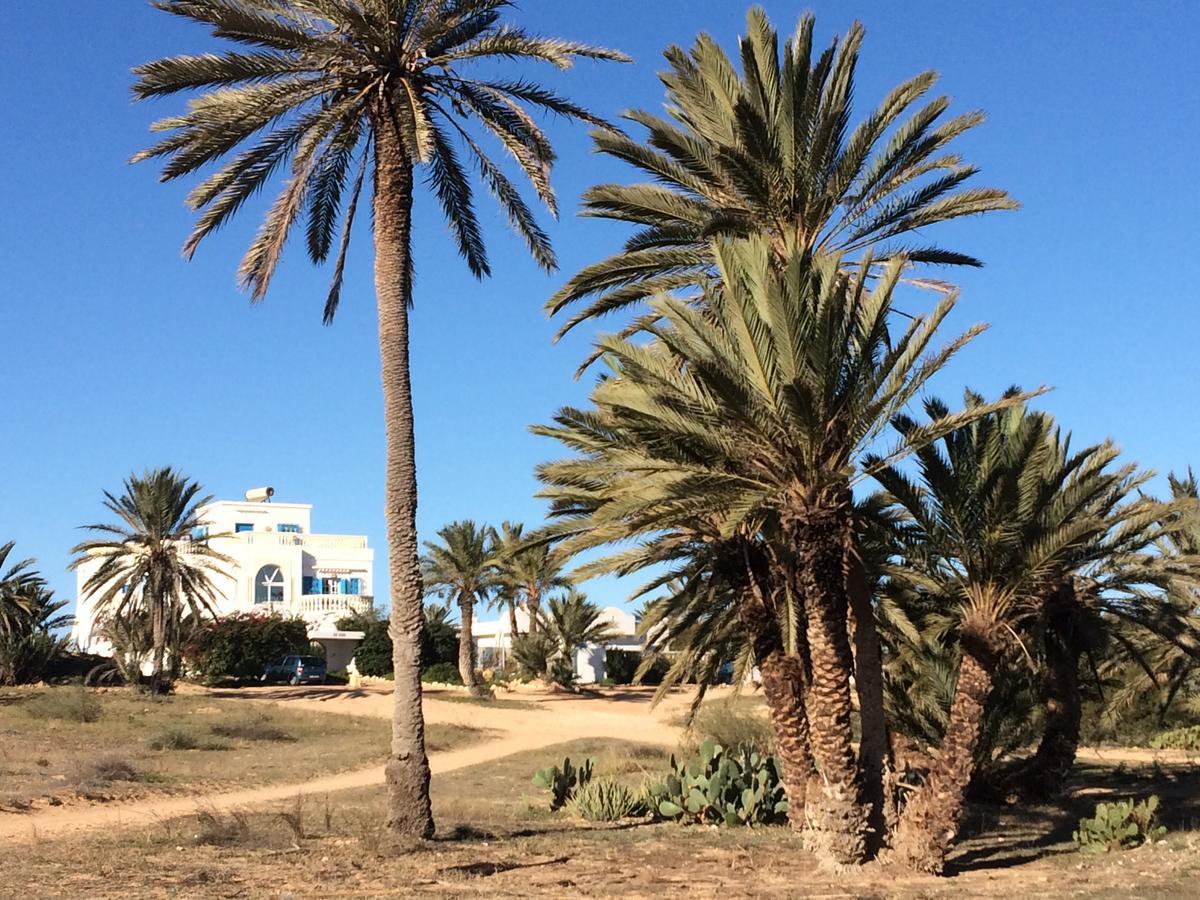 TemlaleDar Jasmin Djerba住宿加早餐旅馆 外观 照片